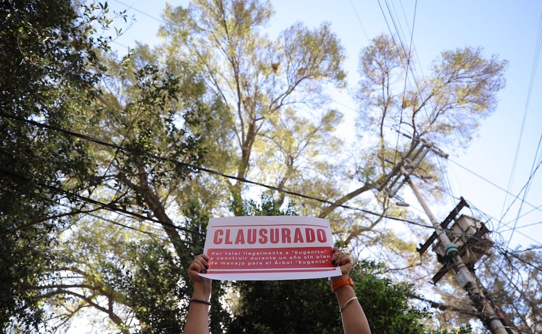Foto: Gabriel Pano / EL UNIVERSAL