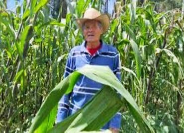 Pobreza extrema en el campo; Oaxaca encabeza la crisis de jornaleros agrícolas