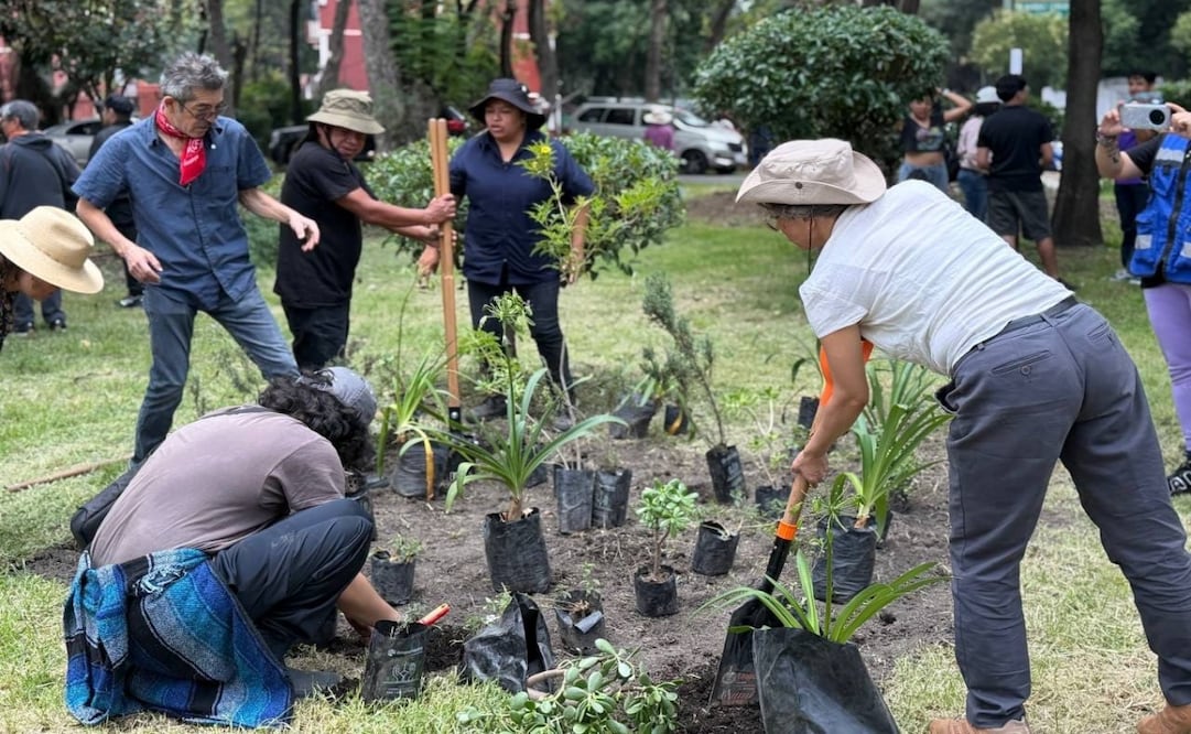 Reforestan Plaza Pentathlón; plantan árboles y jardines polinizadores en la Roma Sur. Foto: Especial