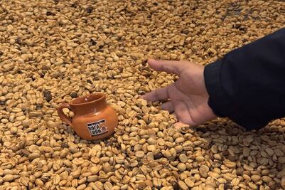 En Veracruz, lánzate al tour Sierra del Café con Turibus