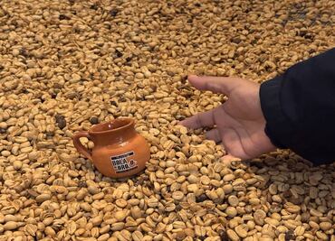 En Veracruz, lánzate al tour Sierra del Café con Turibus