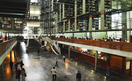 Biblioteca Vasconcelos anuncia reapertura este domingo