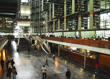 Biblioteca Vasconcelos anuncia reapertura este domingo