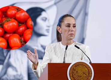 México establece precios mínimos a exportaciones de jitomate; expertos descartan que con esto EU elimine cuotas de 17%