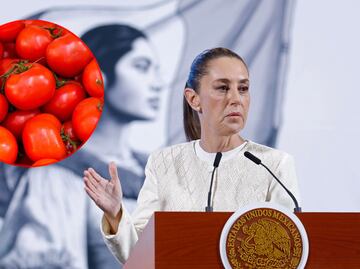 Además del jitomate, ¿habrá sanciones de EU a otros productos mexicanos por dumping?; esto pronostica Sheinbaum