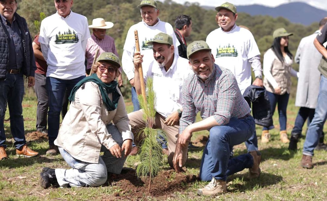 El gobernador Ramírez Bedolla exhortó a los dueños de predios forestales a dar de alta, sin costo alguno, sus terrenos terrenos en la página. Foto: Especial