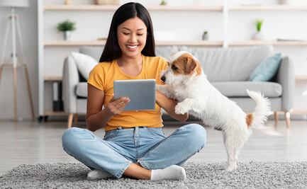 Disfruta la venta primavera de Sanborns; renueva con las mejores promociones