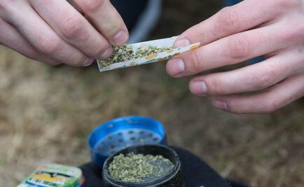 Partido Demócrata insta a legalizar la marihuana en "su día"