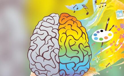 ¿Por qué somos diestros o zurdos?