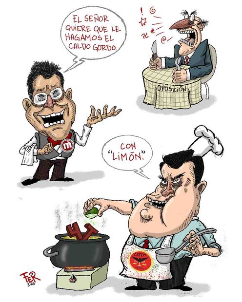 Cartón de FER