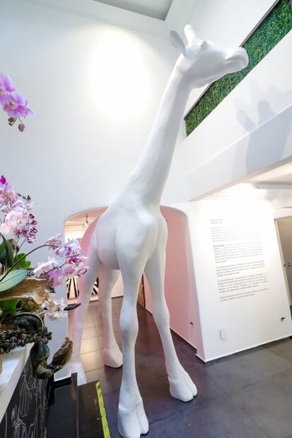 Lánzate a la expo de instalaciones y realidad virtual en Polanco