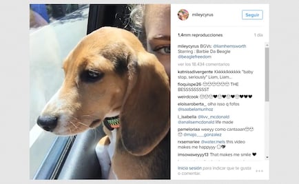 Miley Cyrus y Liam Hemsworth cantan al ritmo de Justin Bieber