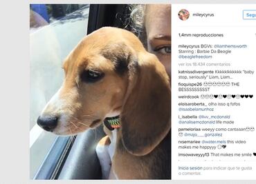 Miley Cyrus y Liam Hemsworth cantan al ritmo de Justin Bieber