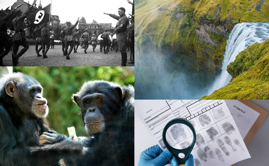 ¿Qué se celebra hoy, 1 de septiembre?