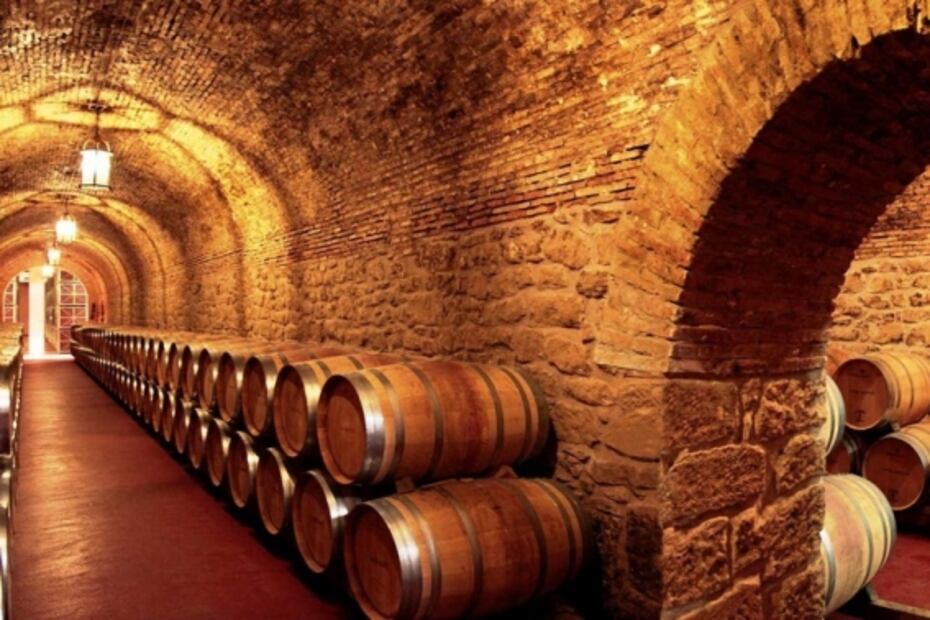 Conoce los nuevos vinos de Bodegas Riojanas
