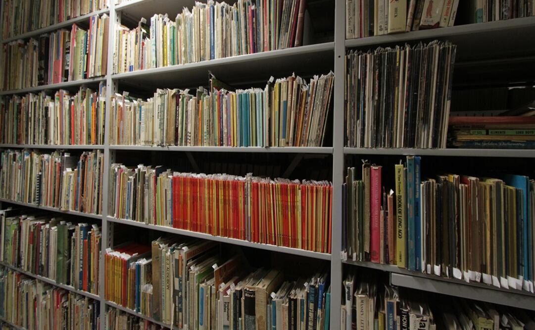 Imagen genérica de una colección de libros de una biblioteca. Foto: Archivo EL UNIVERSAL