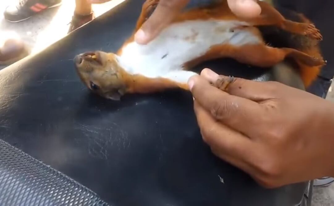 (Foto: tomada de video)