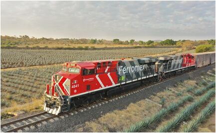 ¿Quién es y a qué se dedica Ferromex, de Grupo México, que paró sus trenes por migrantes?