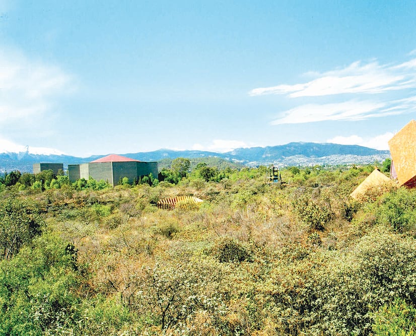 Especialistas de la UNAM informaron que REPSA cuenta con dos estaciones al año: una seca y una lluviosa