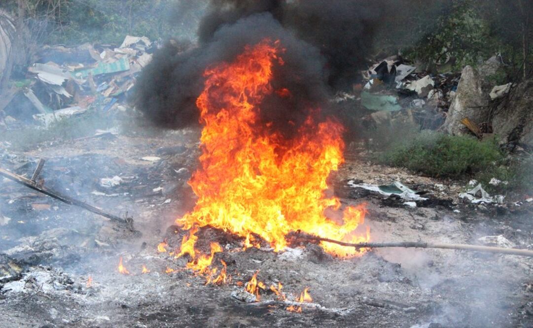 Foto: Cuauhtémoc Moreno Cabrera / EL UNIVERSAL
