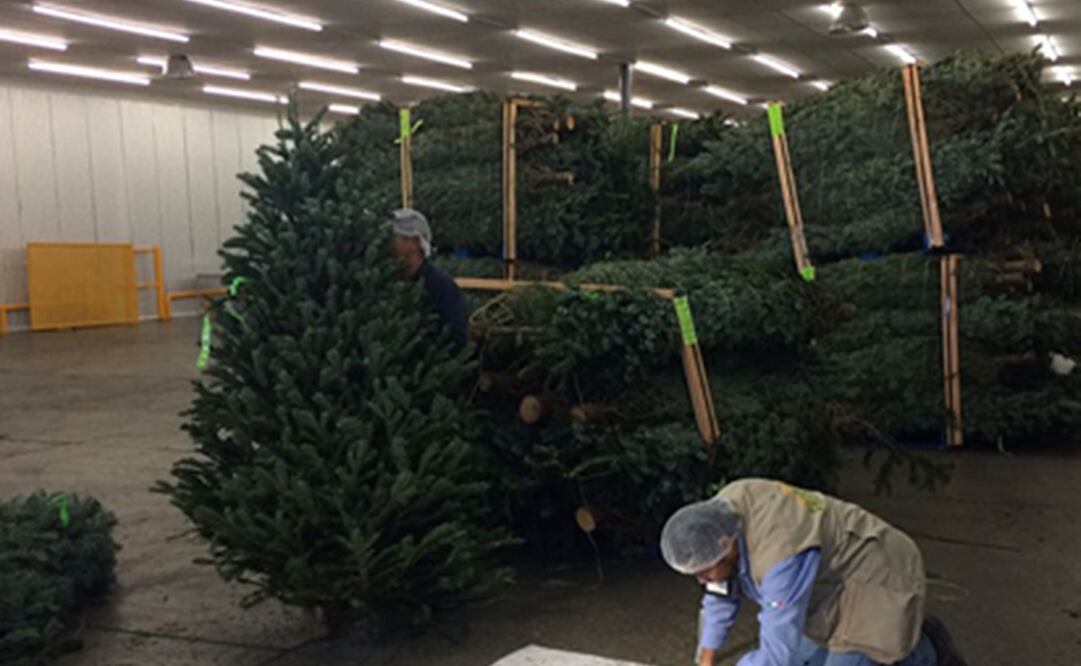 Foto: Archivo/EL UNIVERSAL