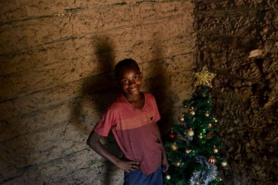 Conmueve foto de niño brasileño que encontró un árbol de Navidad en la basura