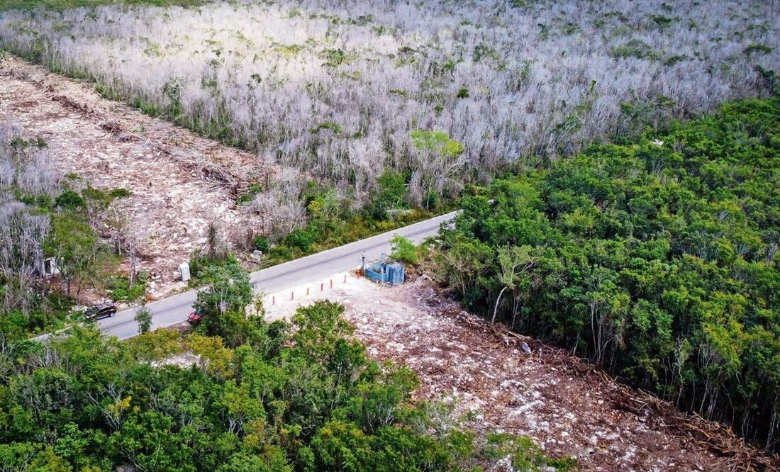 Foto: El Universal, archivo