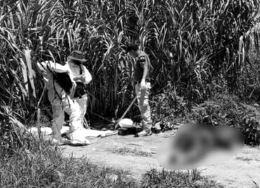 Suman 6 cuerpos hallados en diferentes puntos del municipio de Álvaro Obregón, Michoacán