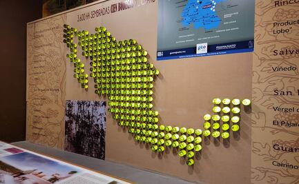 En este museo puedes beber vino y aprender sobre su proceso 