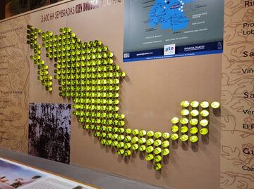 En este museo puedes beber vino y aprender sobre su proceso