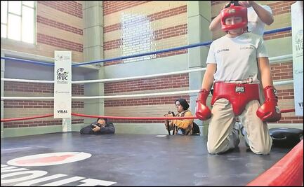 "Nueva normalidad" noquea organización de función boxística en CDMX