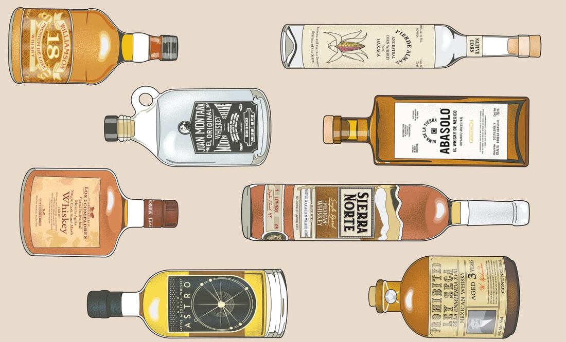 Ilustraciones: Ari Cortés