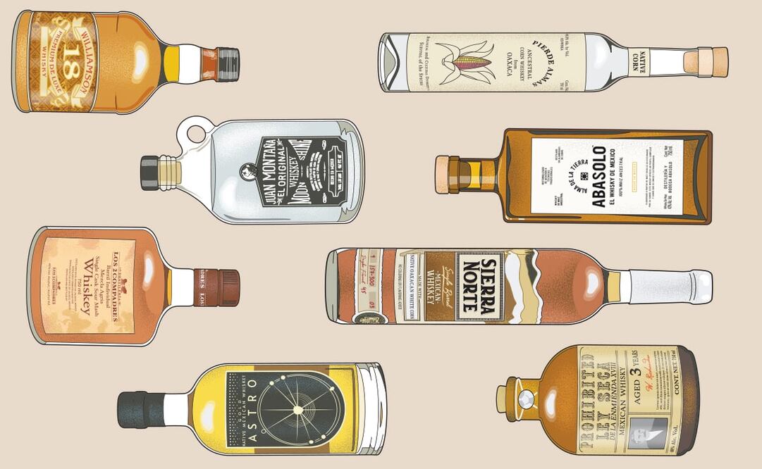 Ilustraciones: Ari Cortés