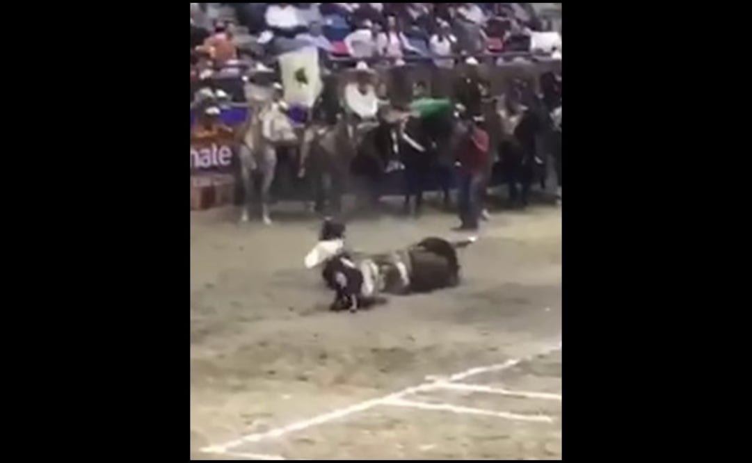 Foto: tomada de video