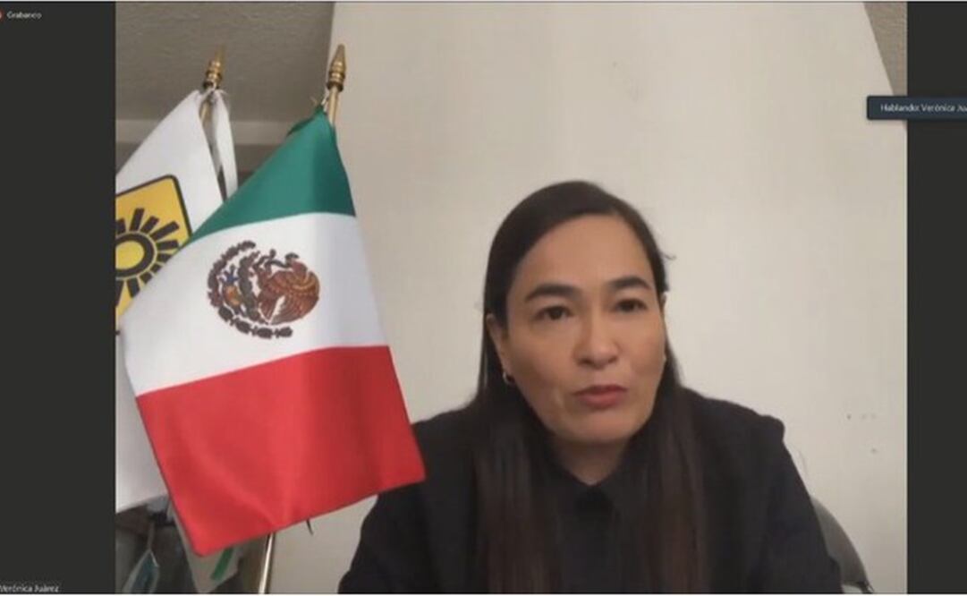 Coordinadora de los diputados federales del PRD, Verónica Juárez / Tomada de Twitter @DiputadosPRD64 