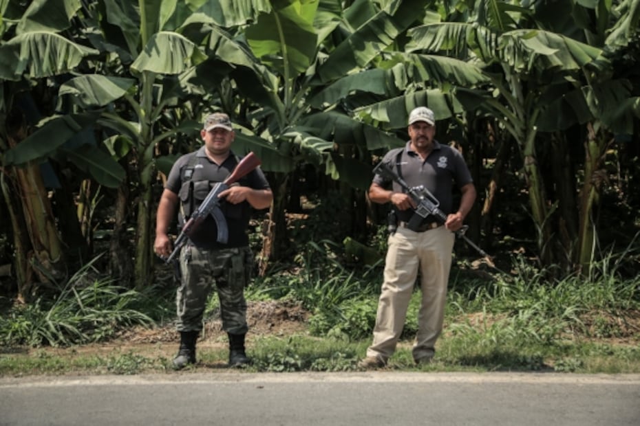 Michoacán, una comunidad en armas para plantar plátanos