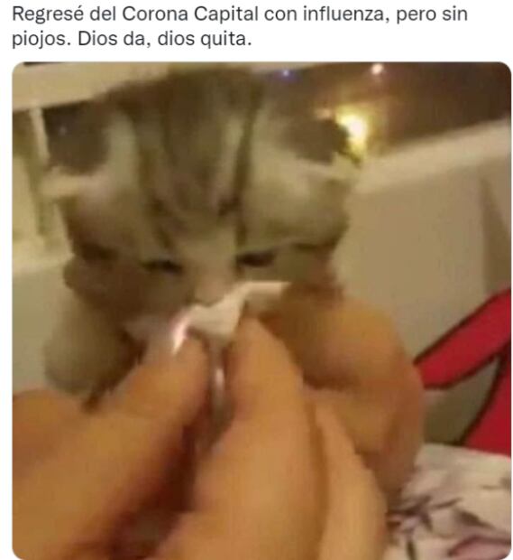 La derrota de México ante Argentina, el concierto de Harry Styles y la boda de Sheinbaum, en los memes de la semana