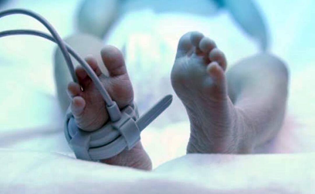 (Foto: Archivo / EL UNIVERSAL)