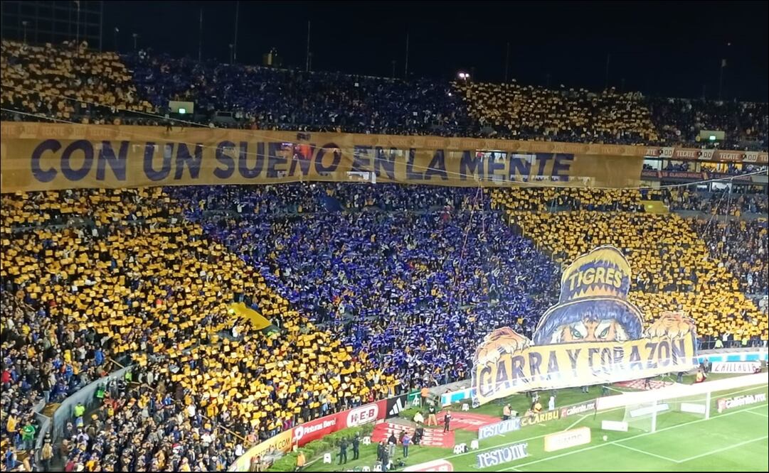 El mosaico de los Libres y Lokos frente a Pumas / Foto: Especiales