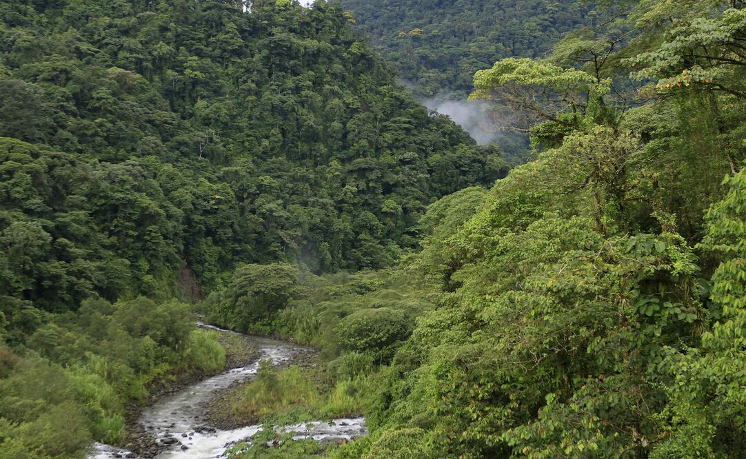 (FOTO: Archivo/EL UNIVERSAL)