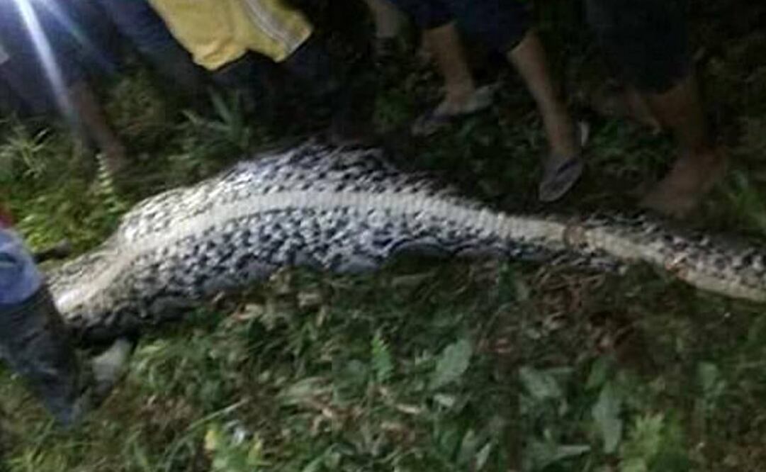 (Foto: Tribun Timur)