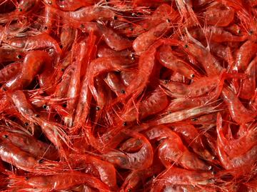 Mexico is the 7th largest shrimp producer in the world