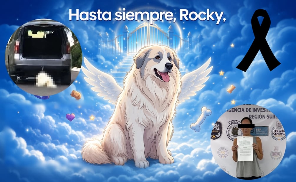 El caso conmocionó a cientos de usuarios en redes sociales. Foto: redes sociales / Dignidad animal A.C.