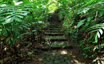 Xalapa Botanical Garden among top 10 North American Gardens
