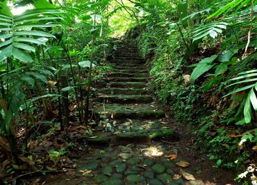 Xalapa Botanical Garden among top 10 North American Gardens