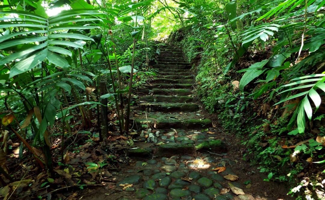 It is located in the old highway to Coatepec – Photo: Taken from Jardín Botánico Clavijero’s Facebook account