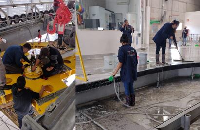 Inicia mantenimiento anual de la Línea 1 del Mexicable ¿Hasta cuándo y qué estaciones no tendrán servicio?