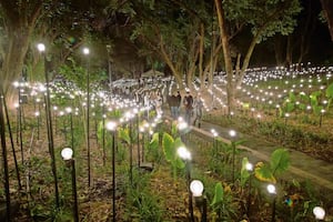 El jardín y su luz: Rafael Lozano-Hemmer