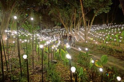 El jardín y su luz: Rafael Lozano-Hemmer