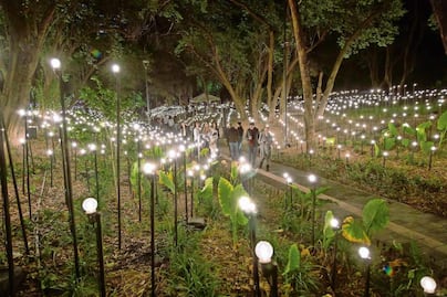El jardín y su luz: Rafael Lozano-Hemmer